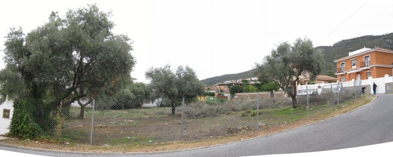 Panorámica de la parcela desde el oeste