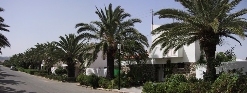 Panorámica de la calle Alondra