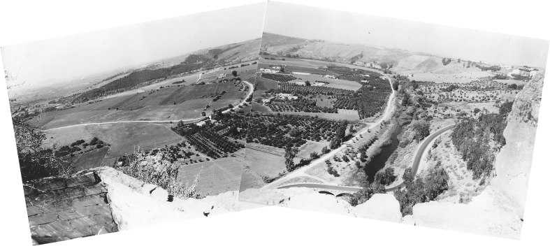 El paisaje de la Vega del Guadalete desde el solar